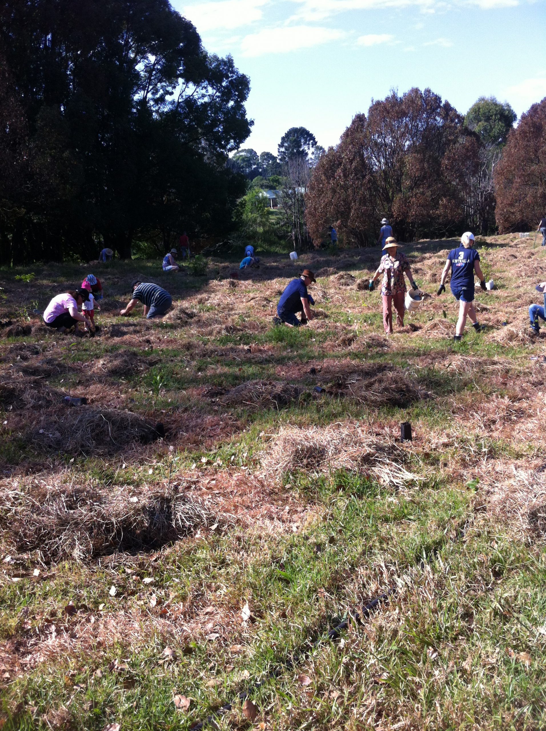 All Souls community planting, stage 2