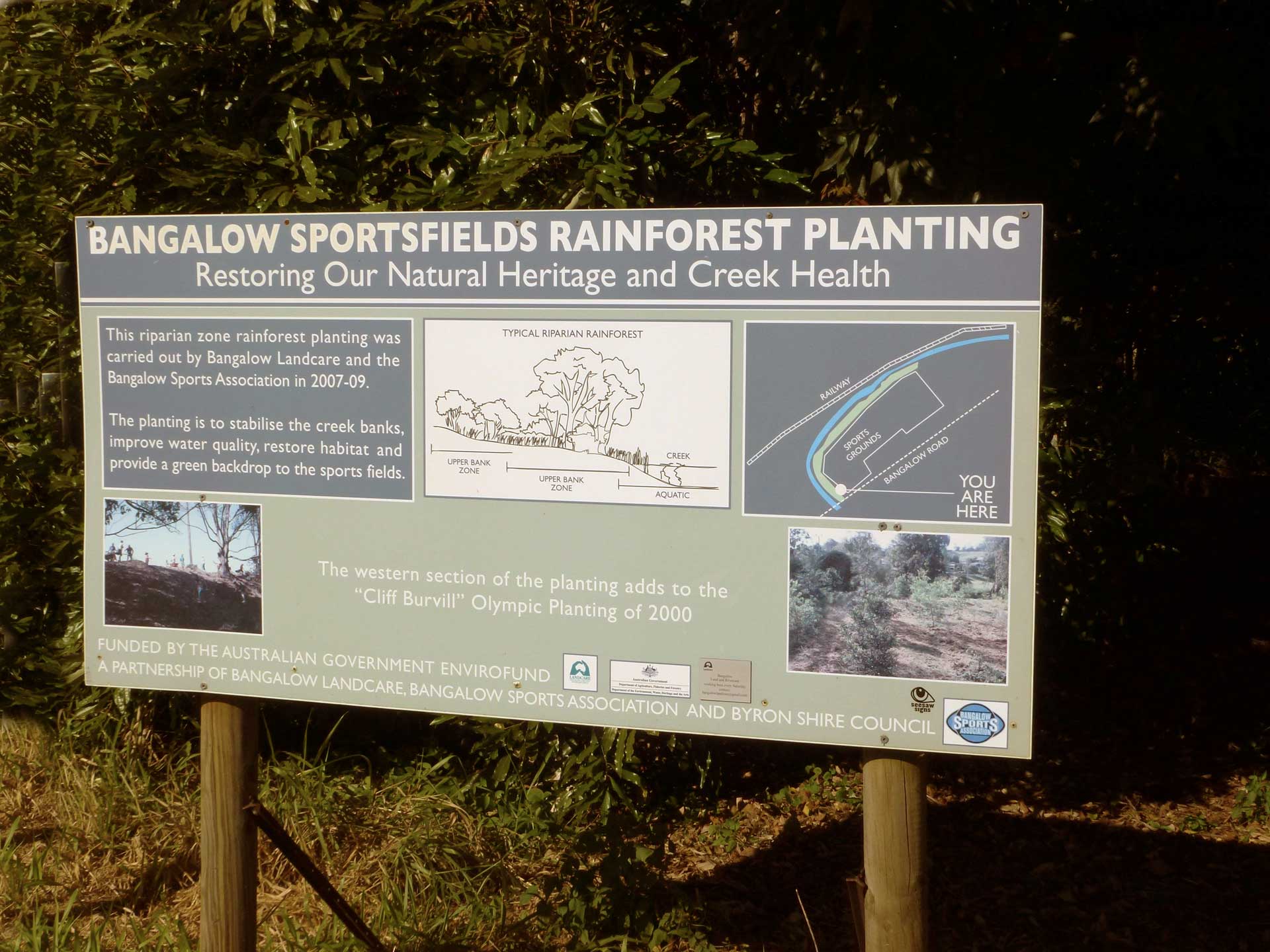 Sportsfield planting